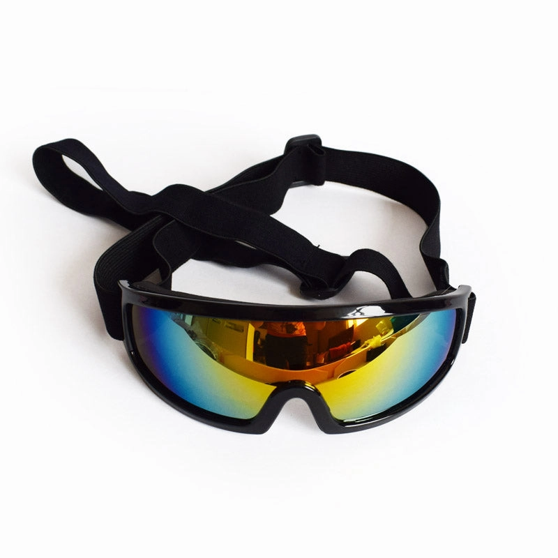 Rebel Dog Goggles