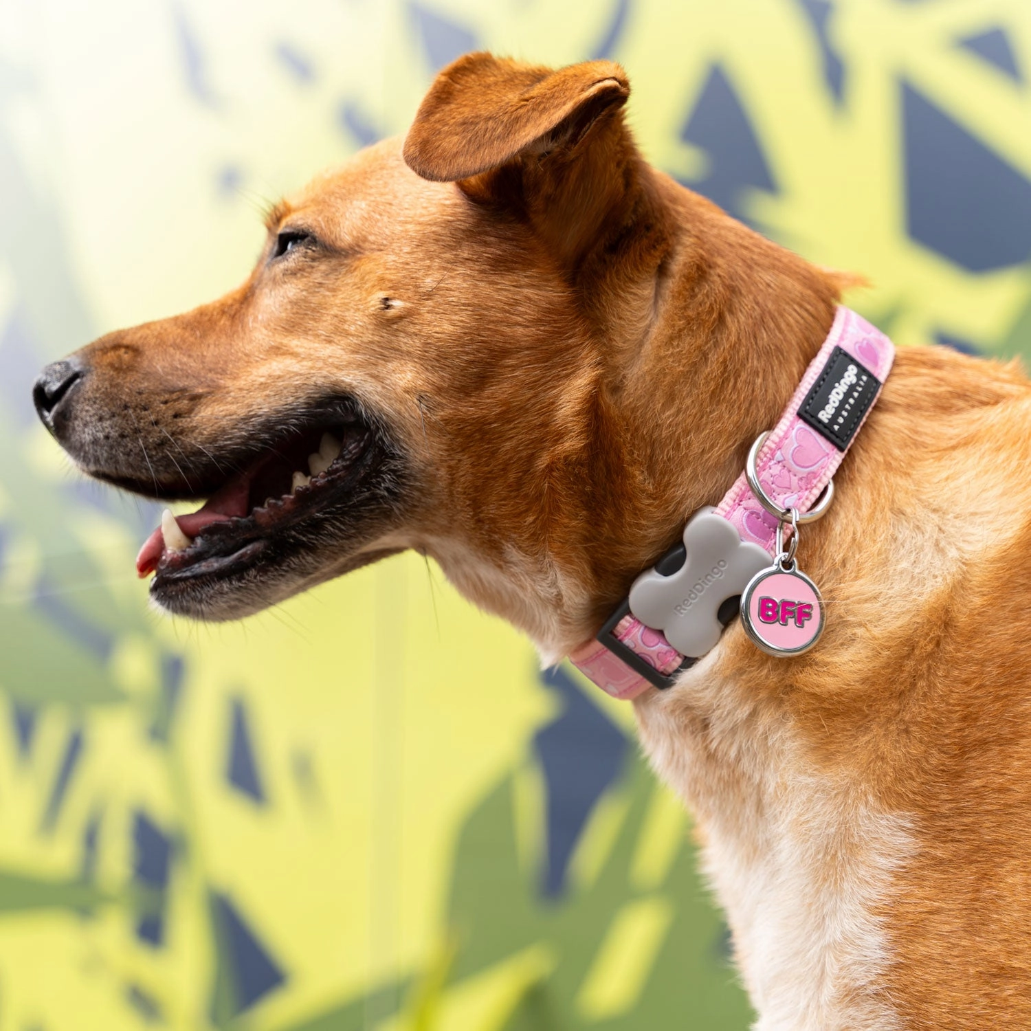 Red Dingo BFF Pet ID Dog Tags