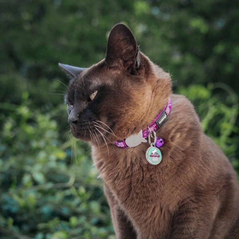 Red Dingo Glitter Cup Cake Pet ID Dog Tags