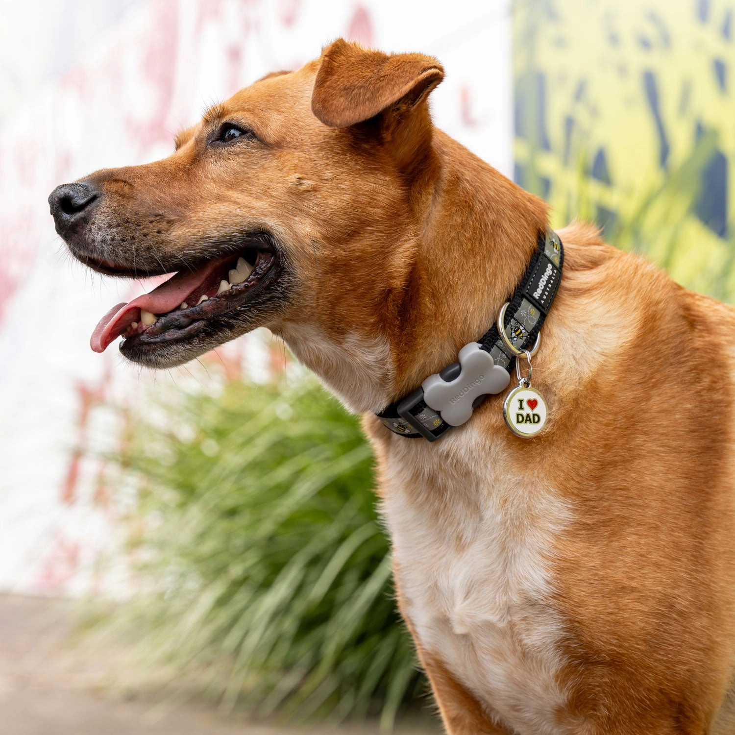 Red Dingo I Love Dad Pet ID Tag