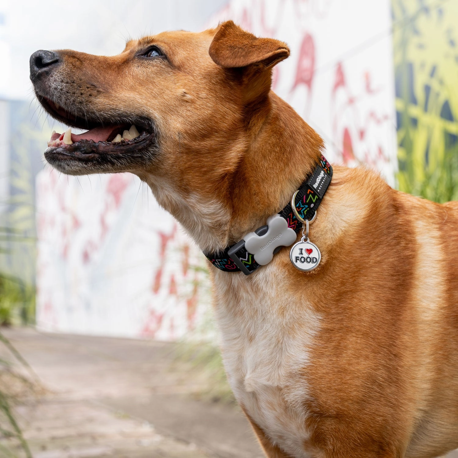 Red Dingo I love Food Pet ID Tag