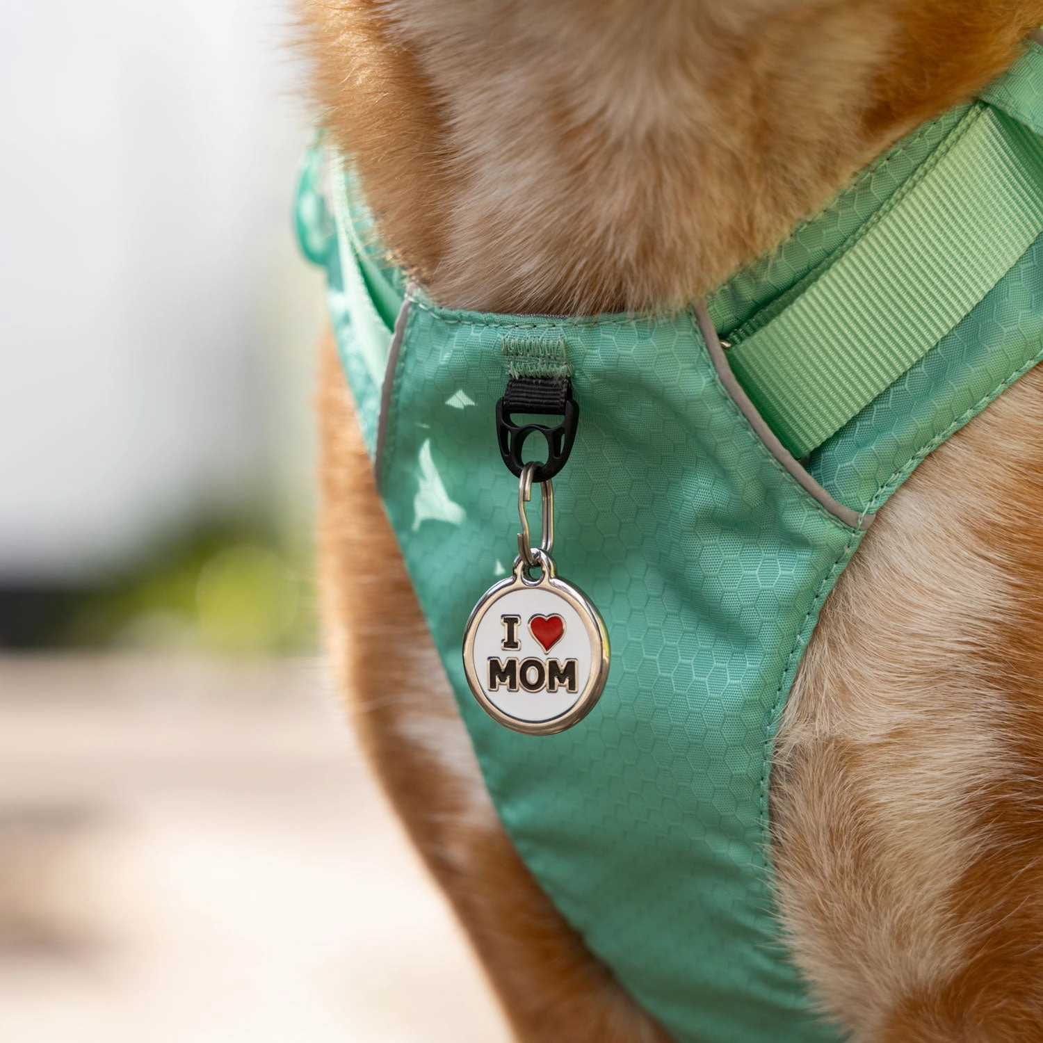 Red Dingo I Love Mom Pet ID Tag