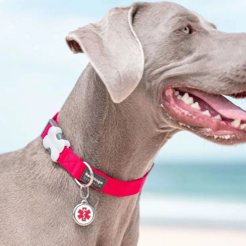 Red Dingo Medical ID Dog Tag