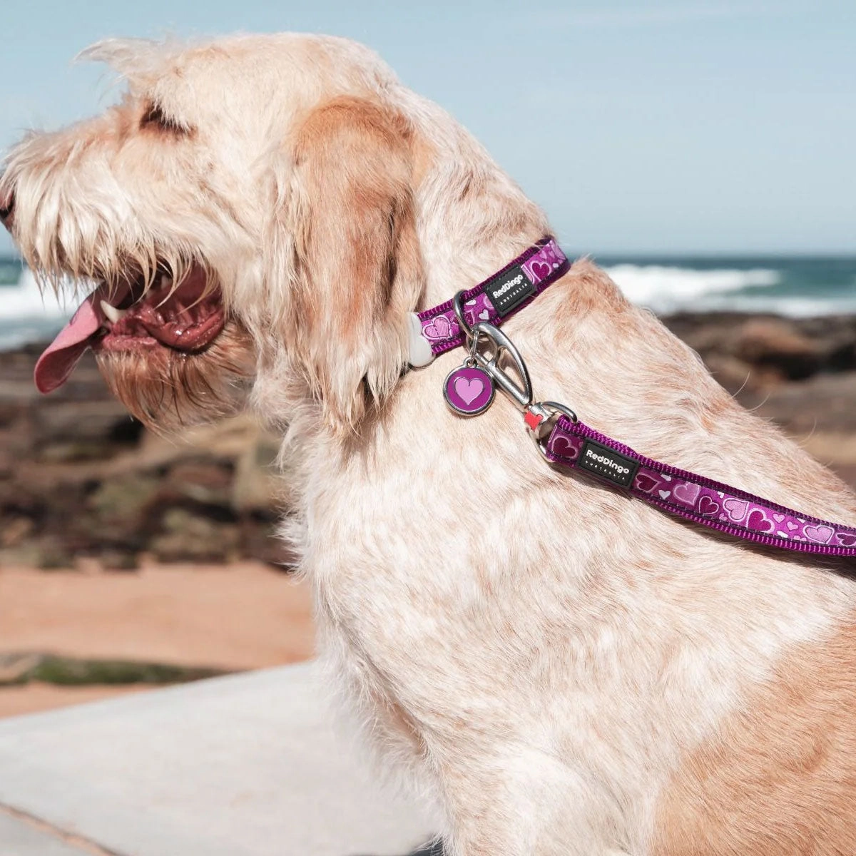 Red Dingo Purple Heart Pet ID Dog Tags