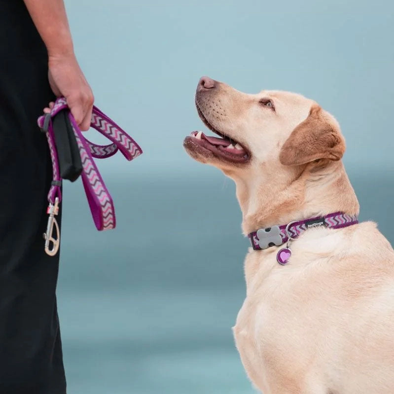 Red Dingo Purple Heart Pet ID Dog Tags