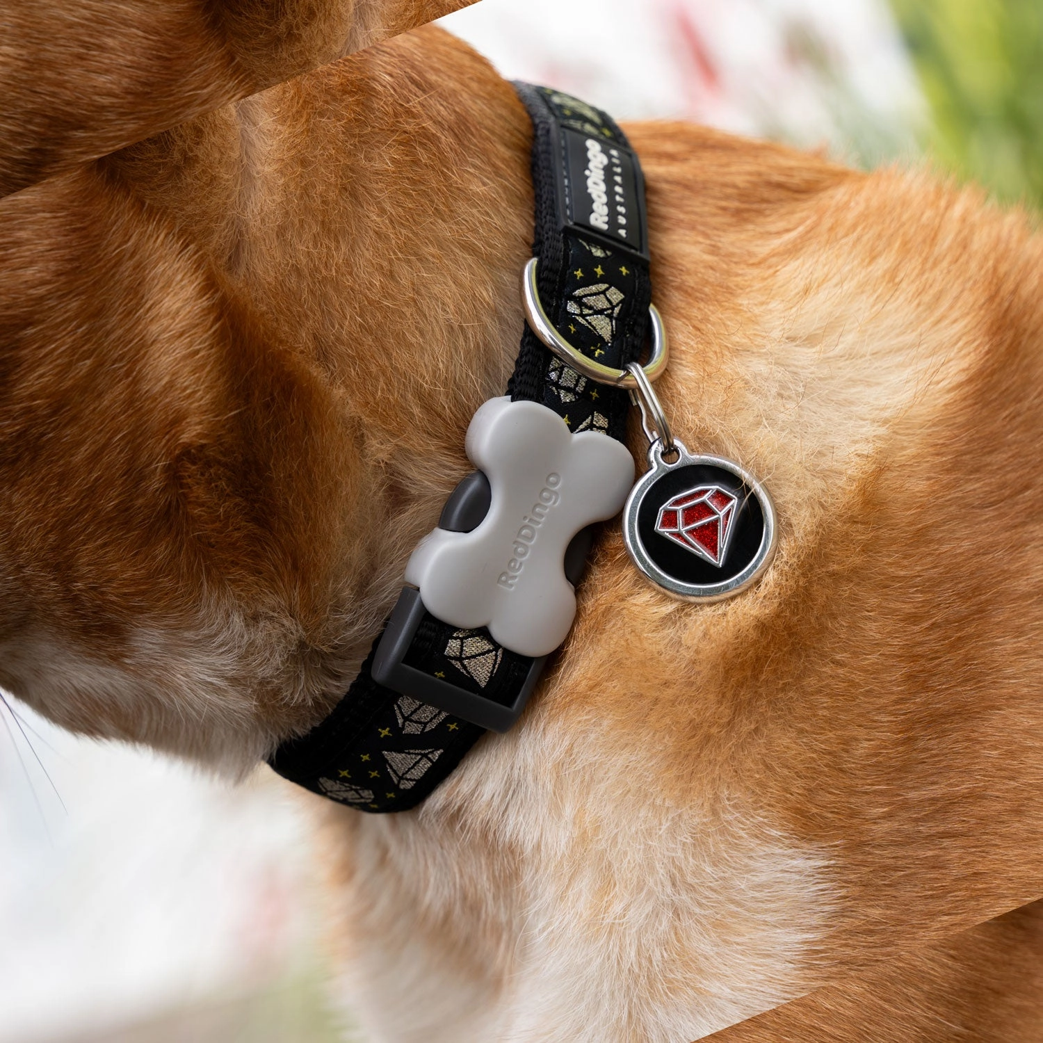 Red Dingo Ruby Pet ID Tag