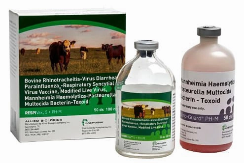 RespiVax 5   PH-M Cattle Vaccine