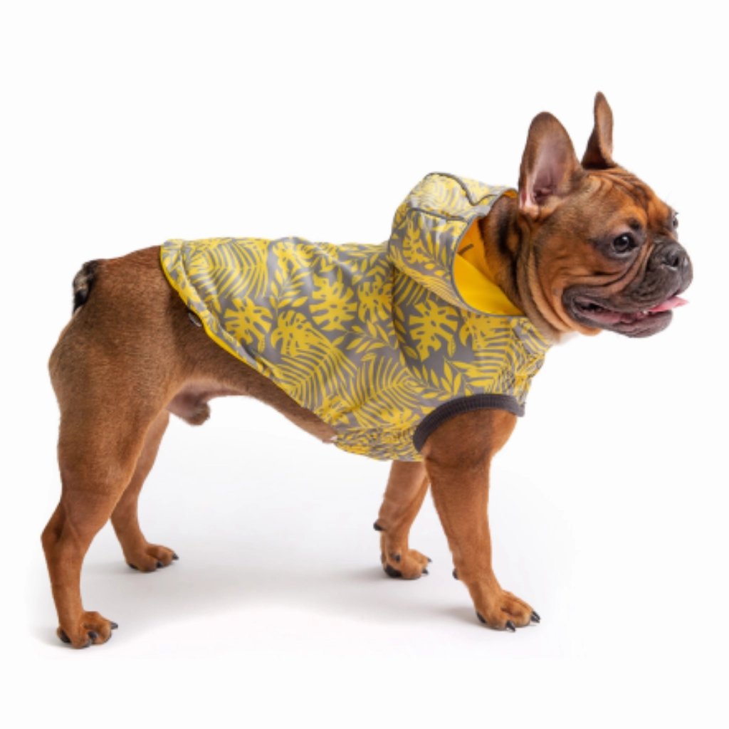 Reversible Raincoat Yellow