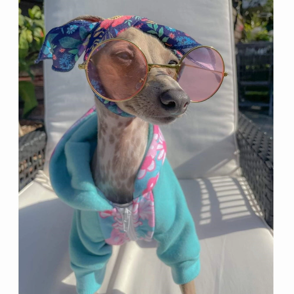 Round Fashion Dog Sunglasses