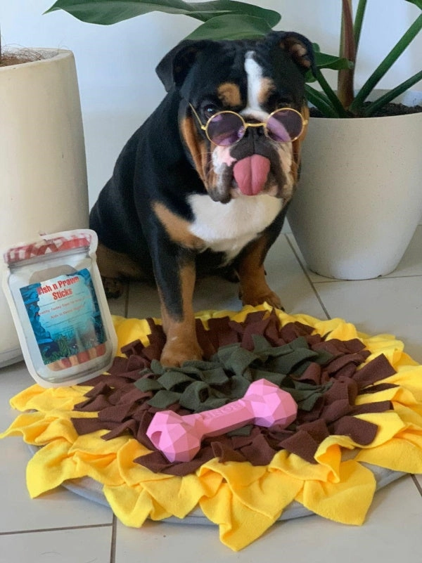 Round Fashion Dog Sunglasses