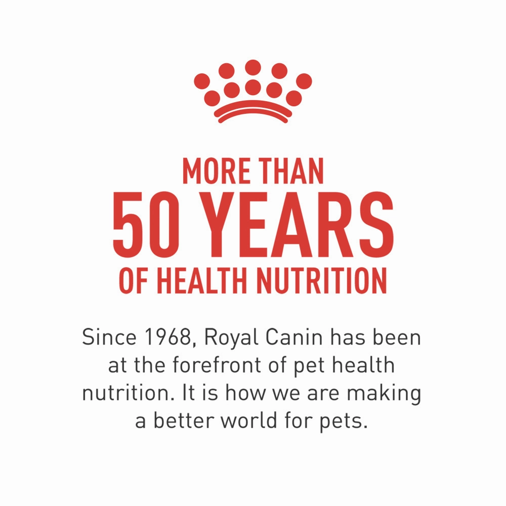 Royal Canin Hair and Skin Thin Slices in Gravy Canned Cat Food