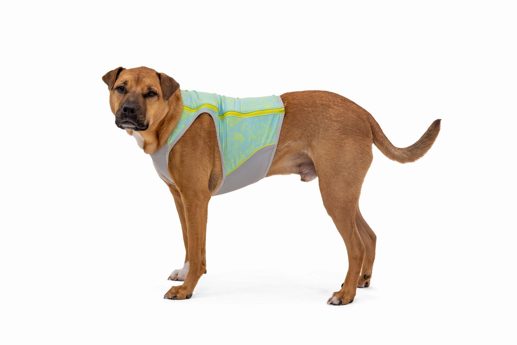 Ruffwear Cooling Dog Vest: Swamp Cooler Zip