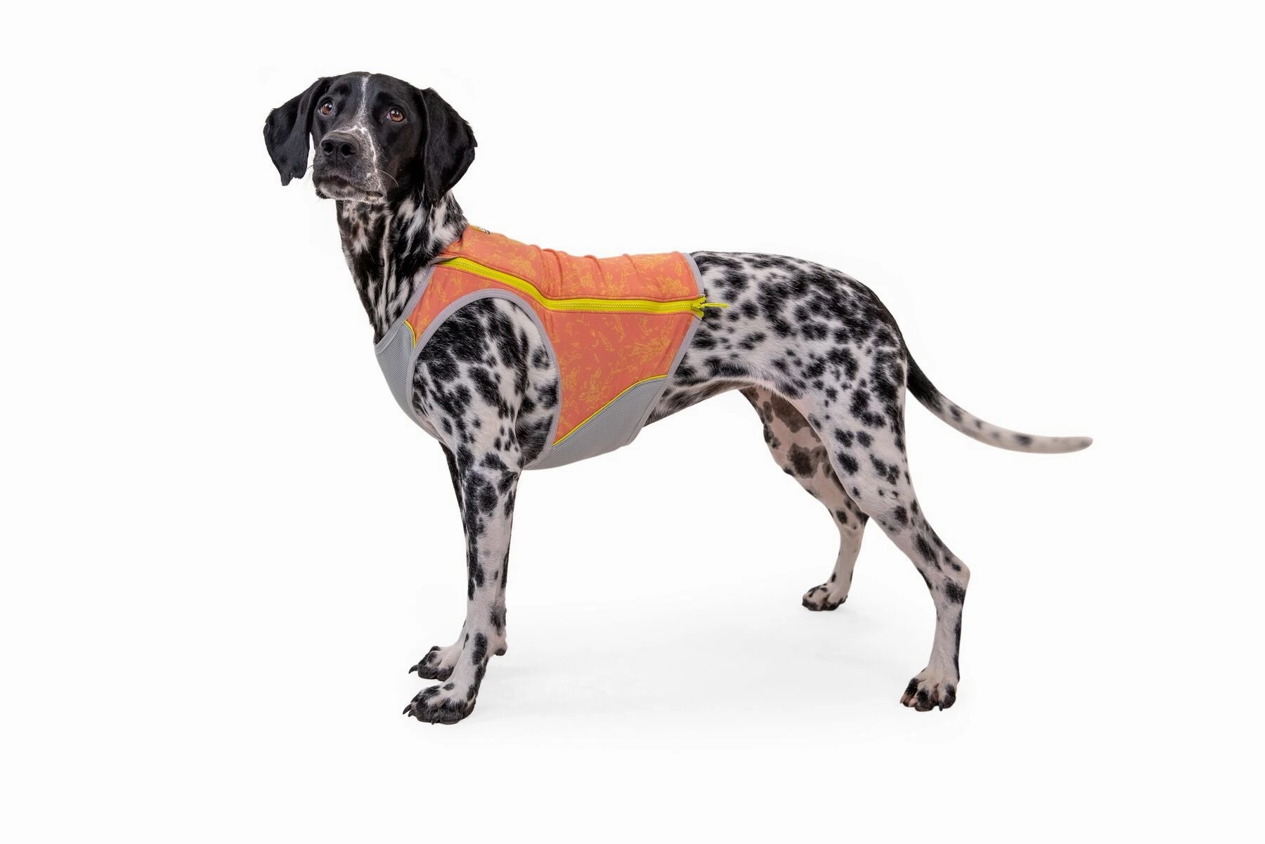 Ruffwear Cooling Dog Vest: Swamp Cooler Zip