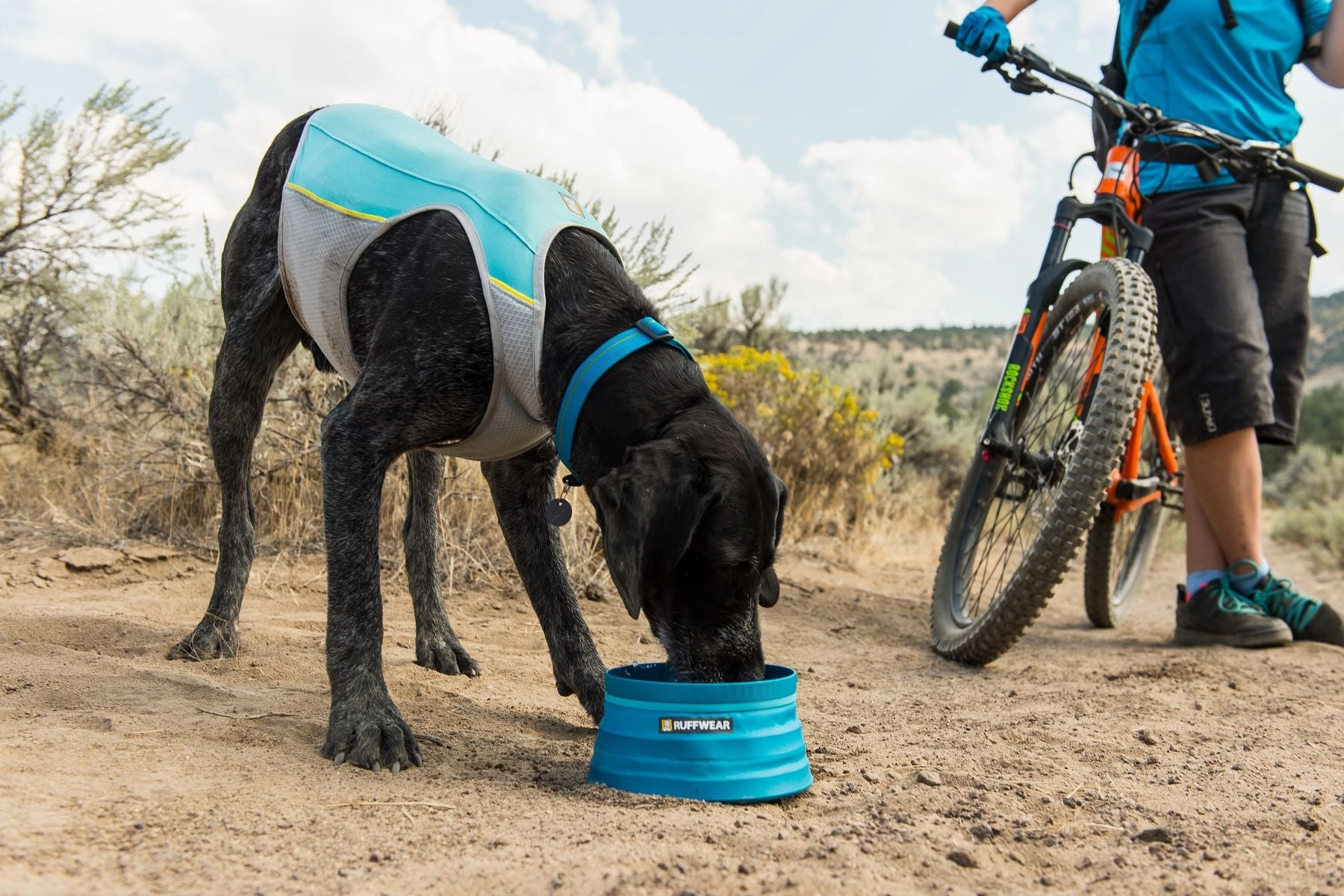 Ruffwear Dog Cooling Vest: Jetstream