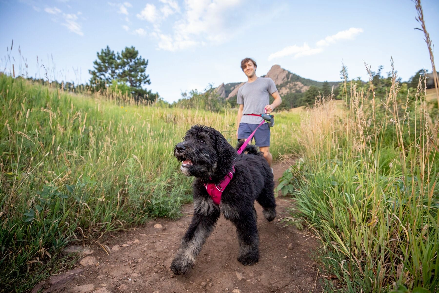 Ruffwear Dog Harness No-Pull: Front Range