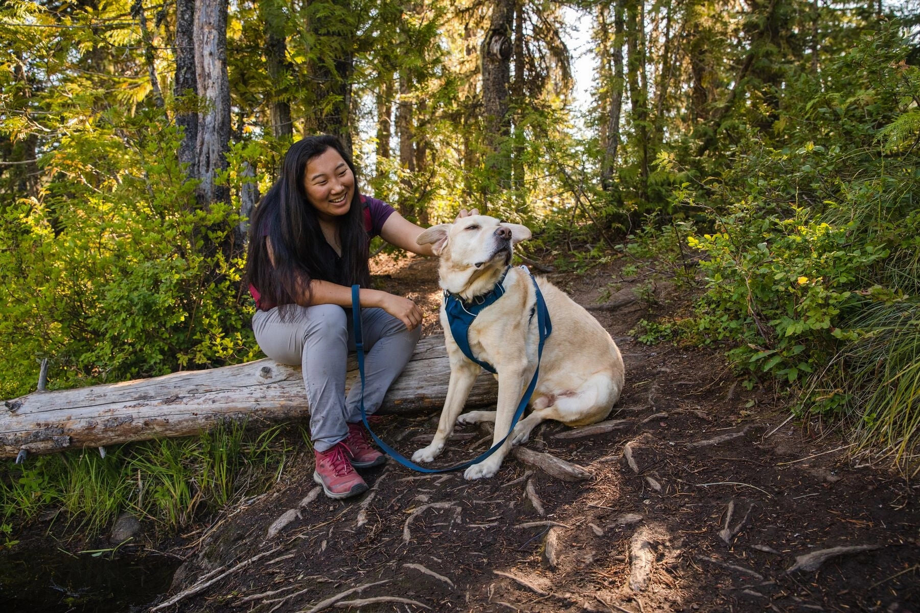 Ruffwear Dog Harness No-Pull: Front Range