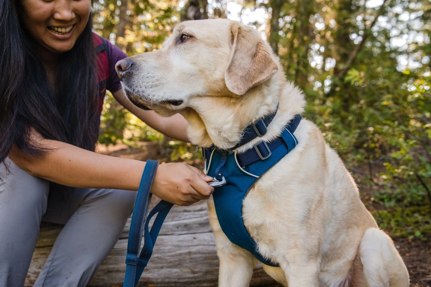 Ruffwear Dog Harness No-Pull: Front Range