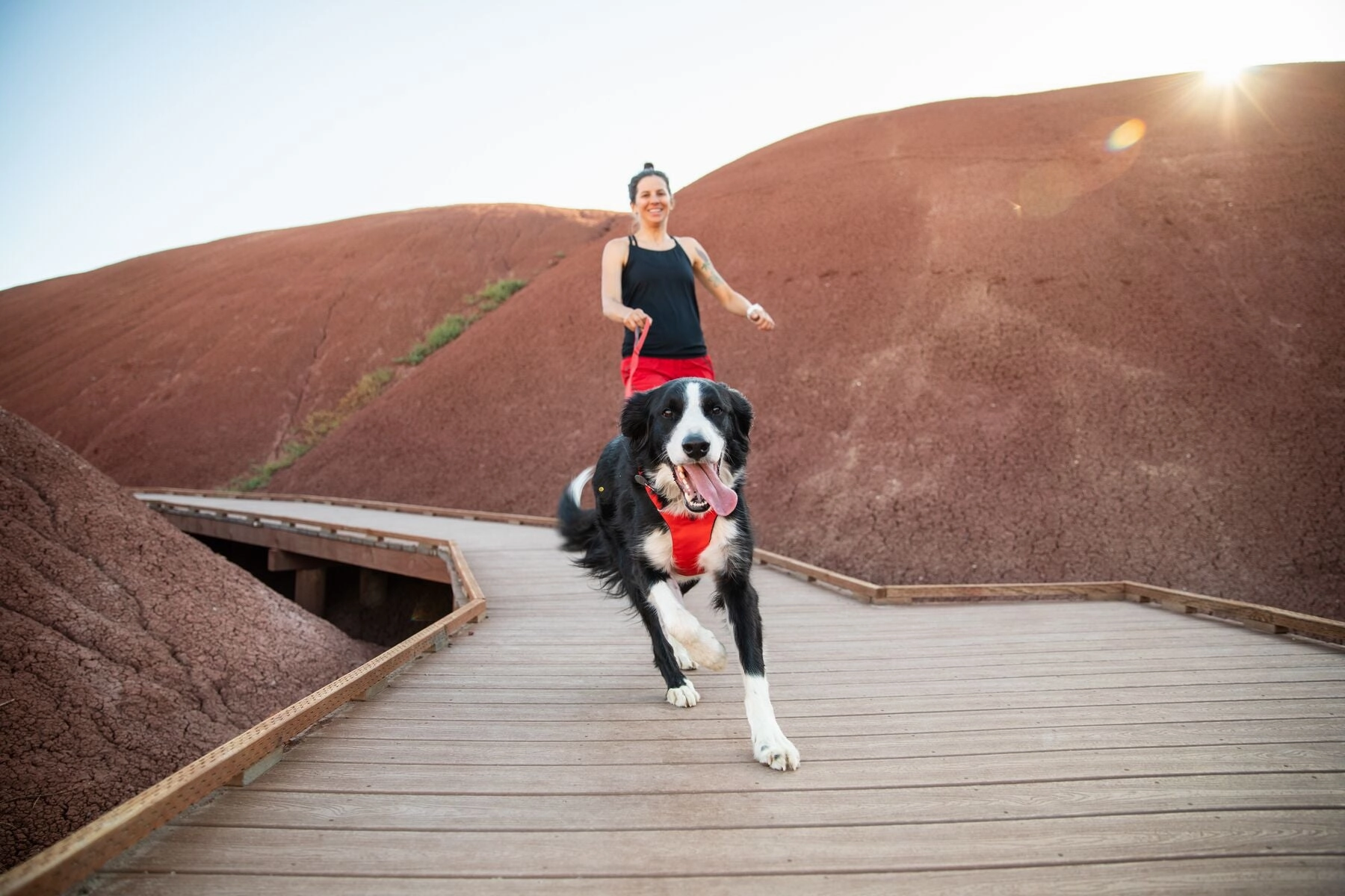 Ruffwear Dog Harness No-Pull: Front Range