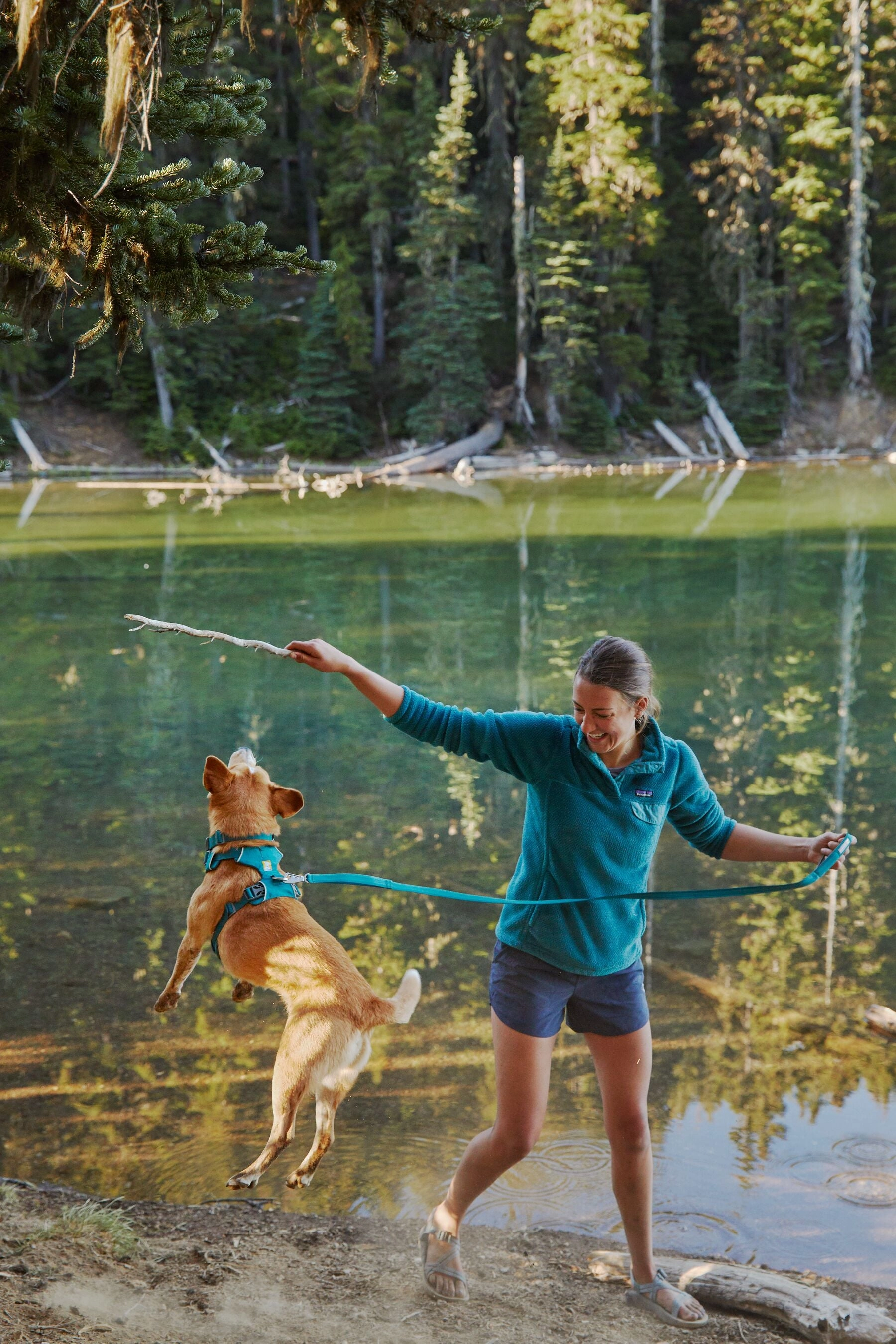 Ruffwear Dog Harness No-Pull: Front Range