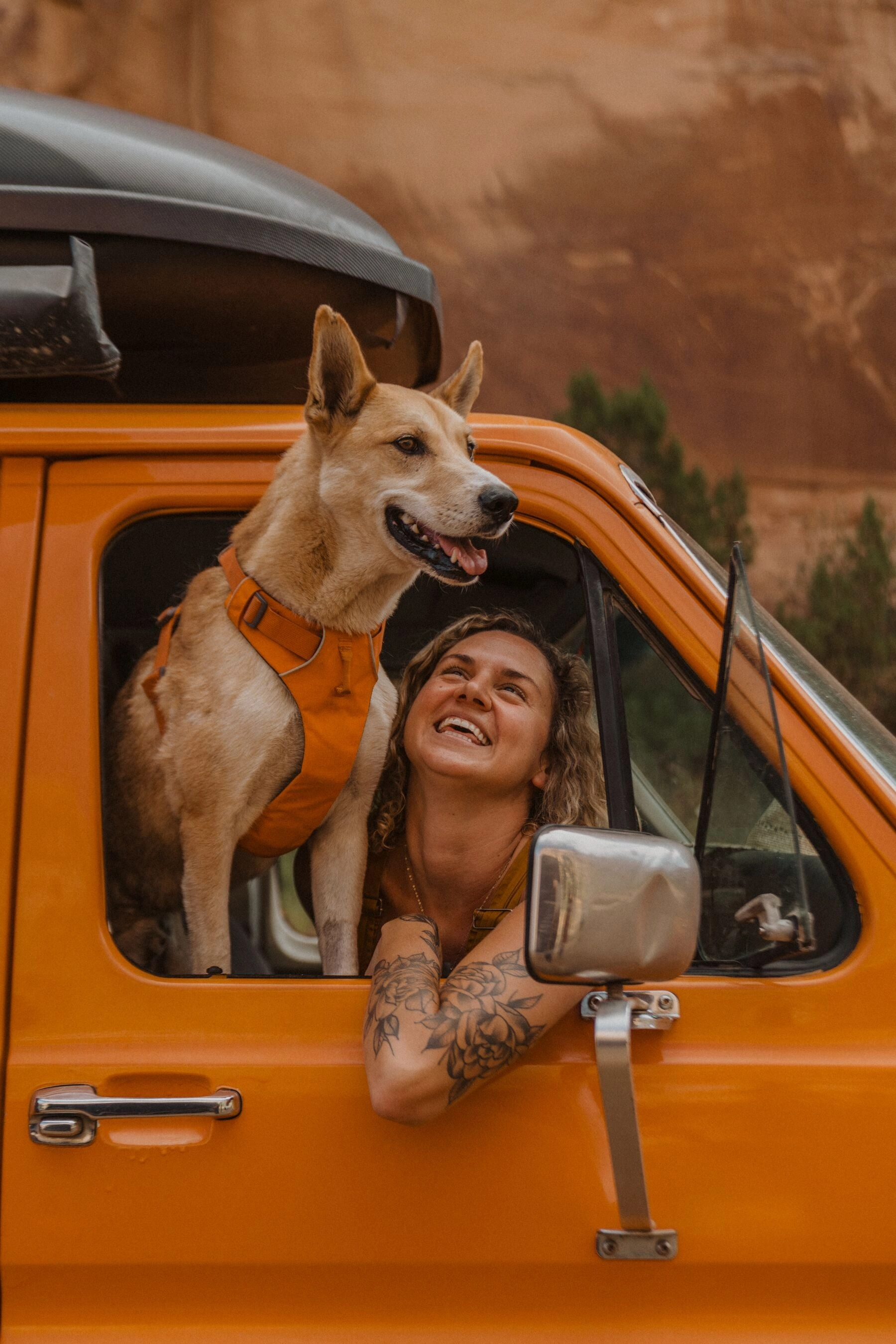 Ruffwear Dog Harness No-Pull: Front Range