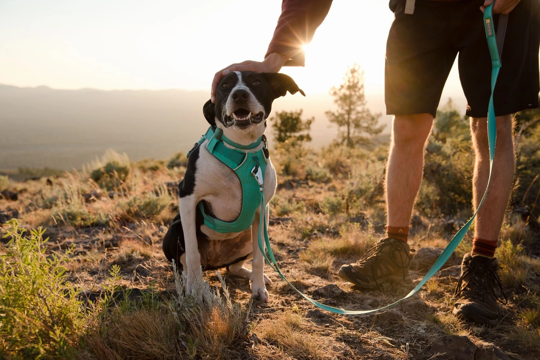 Ruffwear Dog Harness No-Pull: Front Range