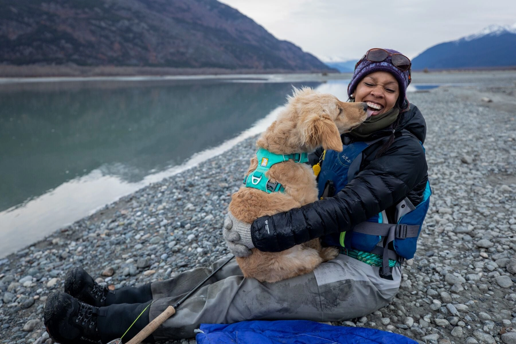 Ruffwear Dog Harness No-Pull: Front Range