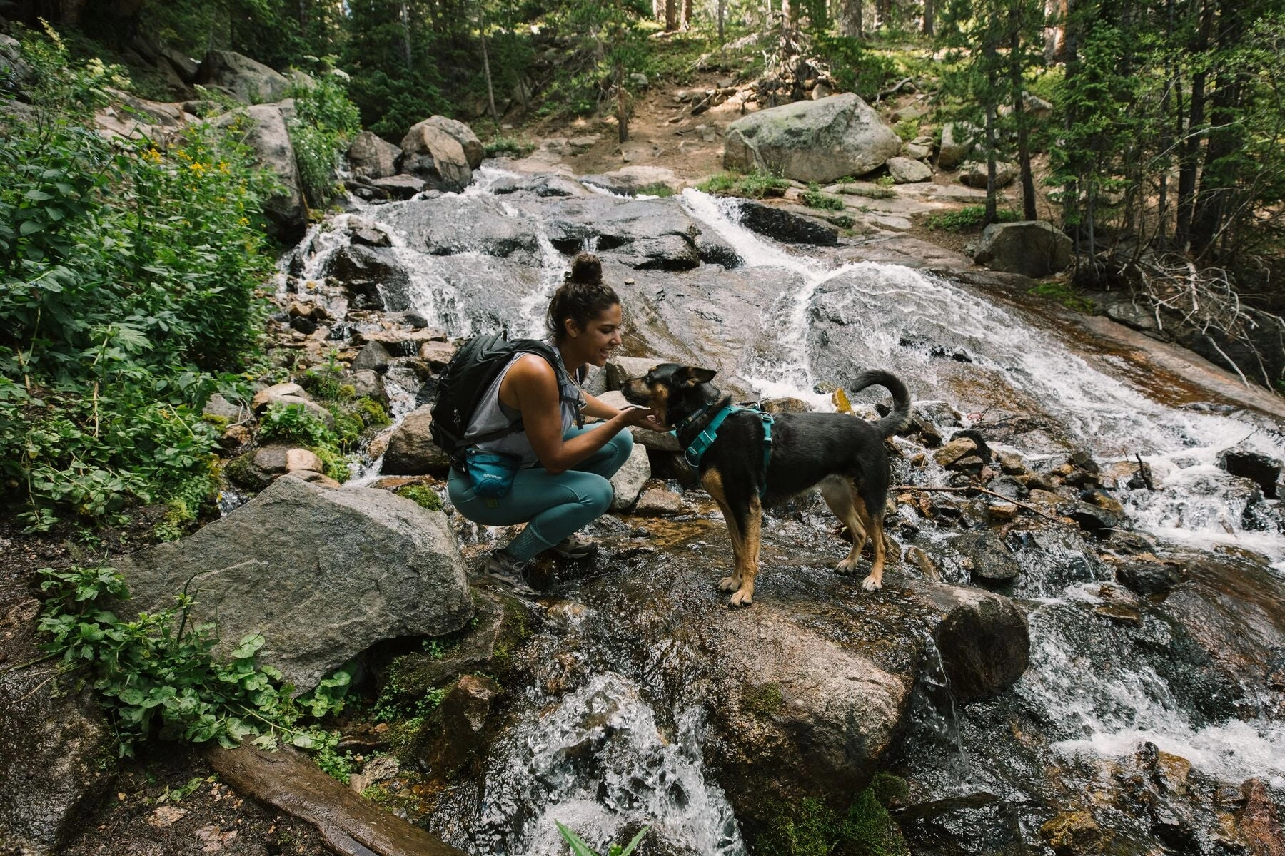 Ruffwear Dog Harness No-Pull: Front Range