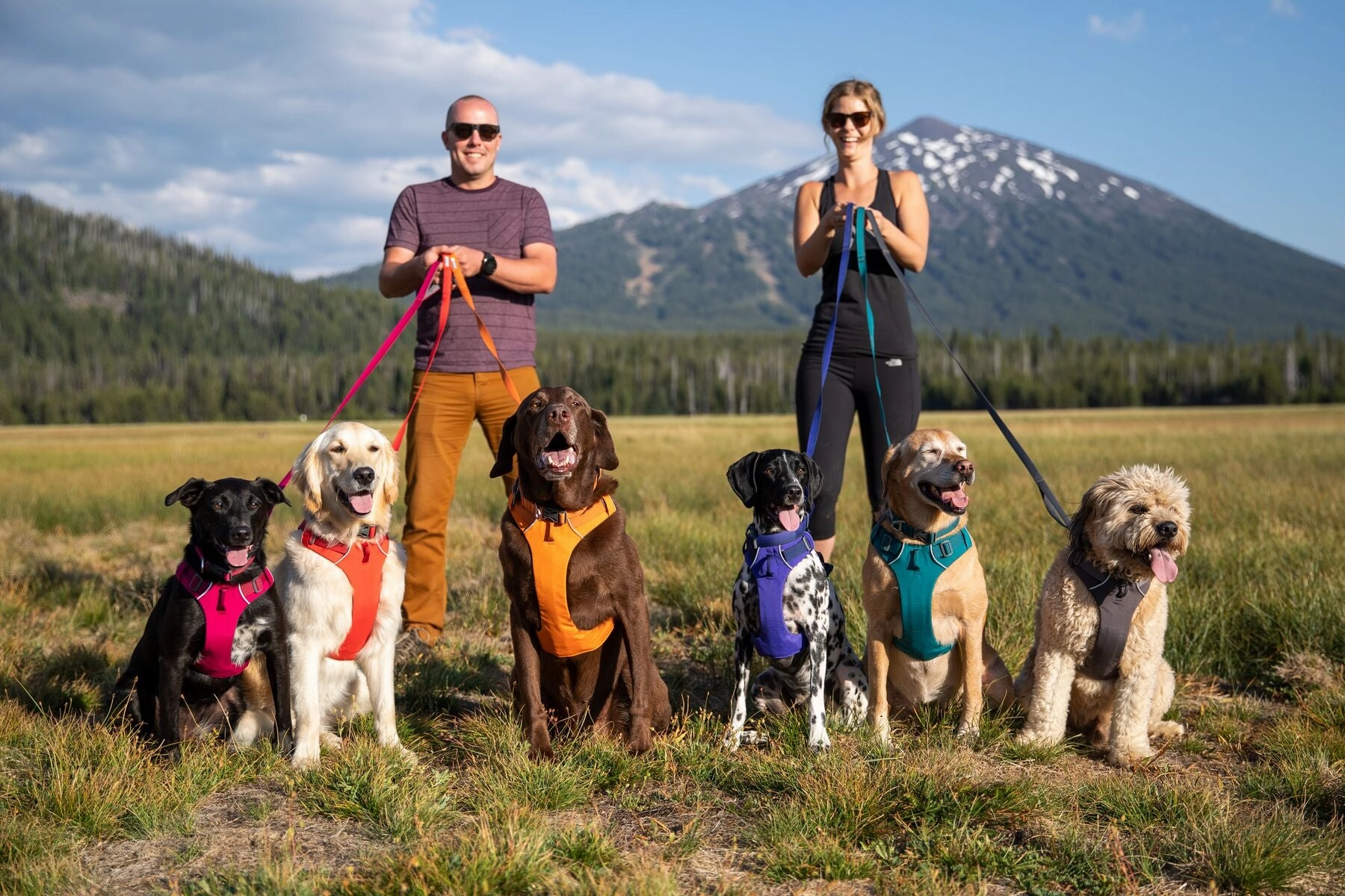 Ruffwear Dog Harness No-Pull: Front Range