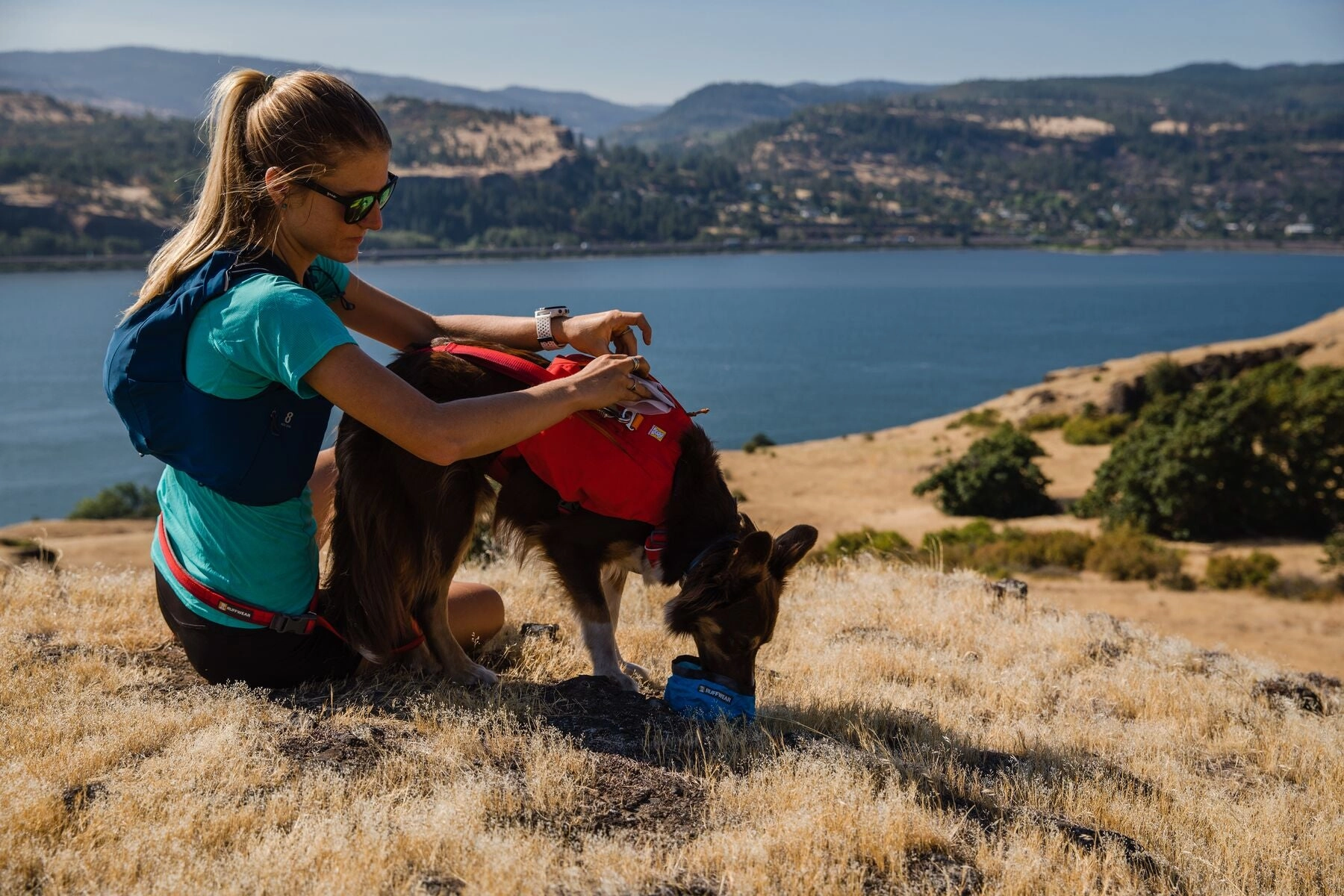 Ruffwear Dog Harness: Switchbak