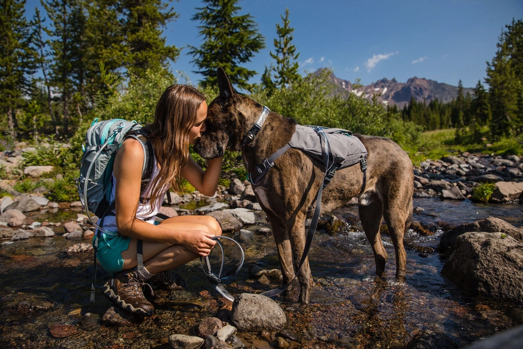 Ruffwear Dog Harness: Switchbak
