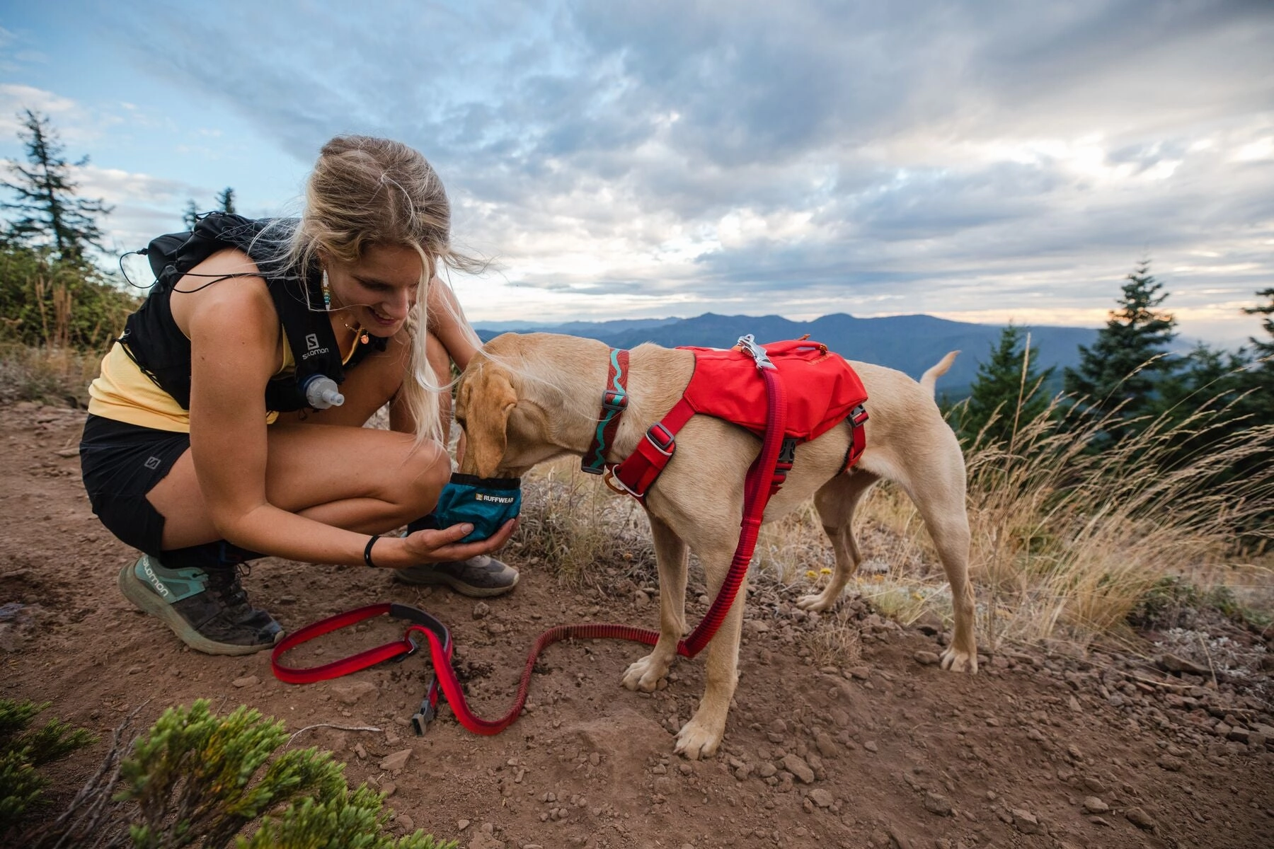 Ruffwear Dog Harness: Switchbak
