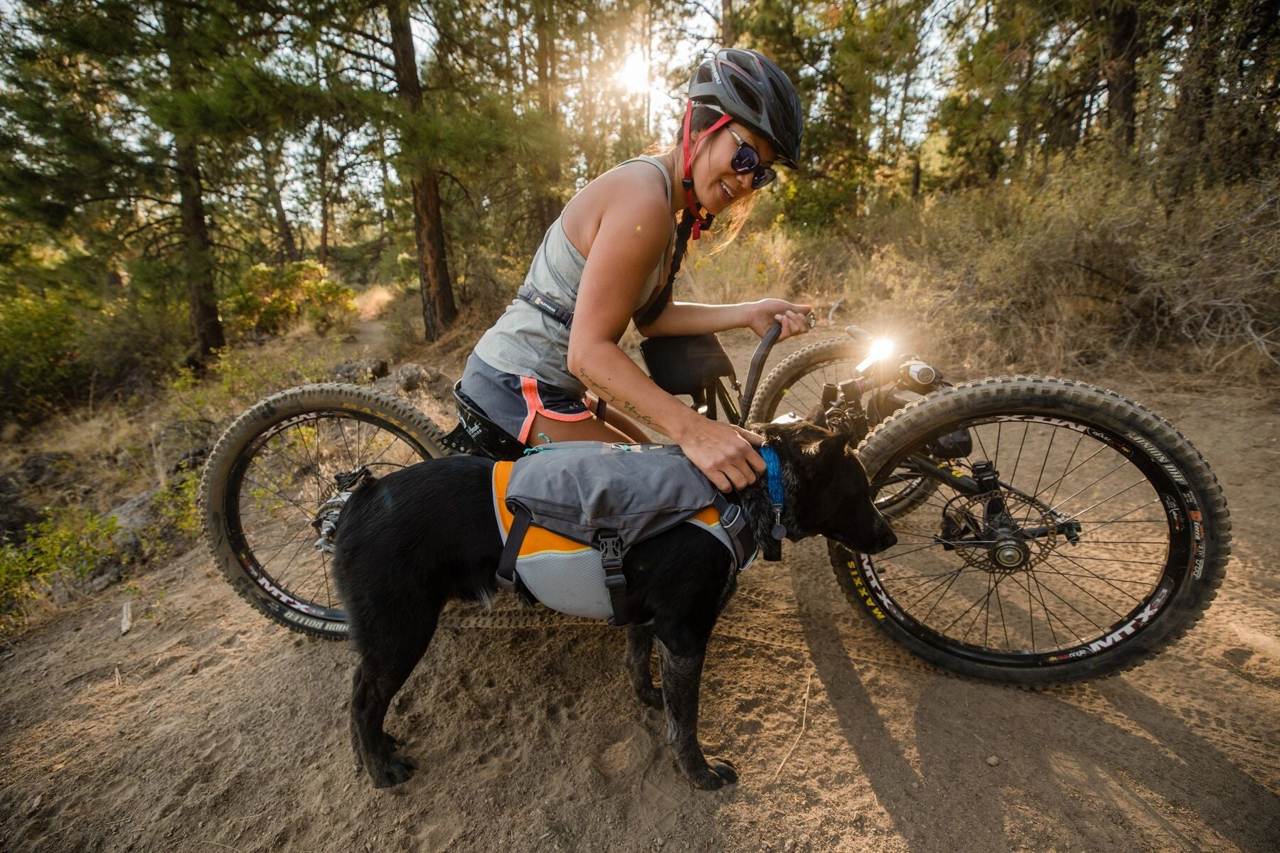 Ruffwear Dog Harness: Switchbak