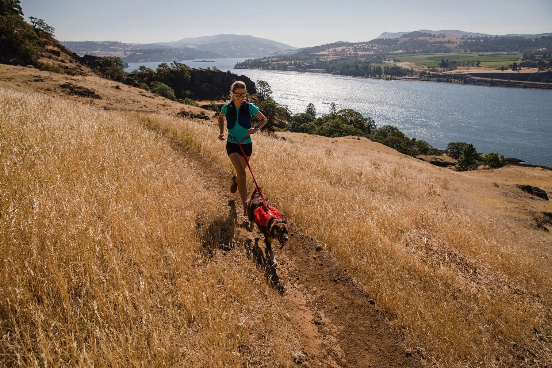 Ruffwear Dog Harness: Switchbak