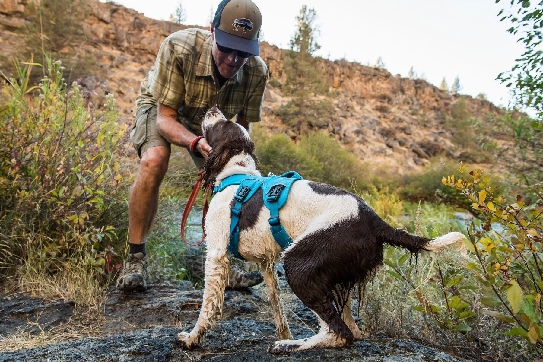 Ruffwear Dog Harness: Web Master