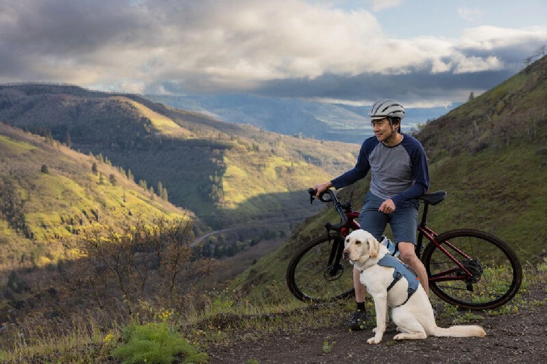 Ruffwear Dog Harness, Web Master (New Colours)