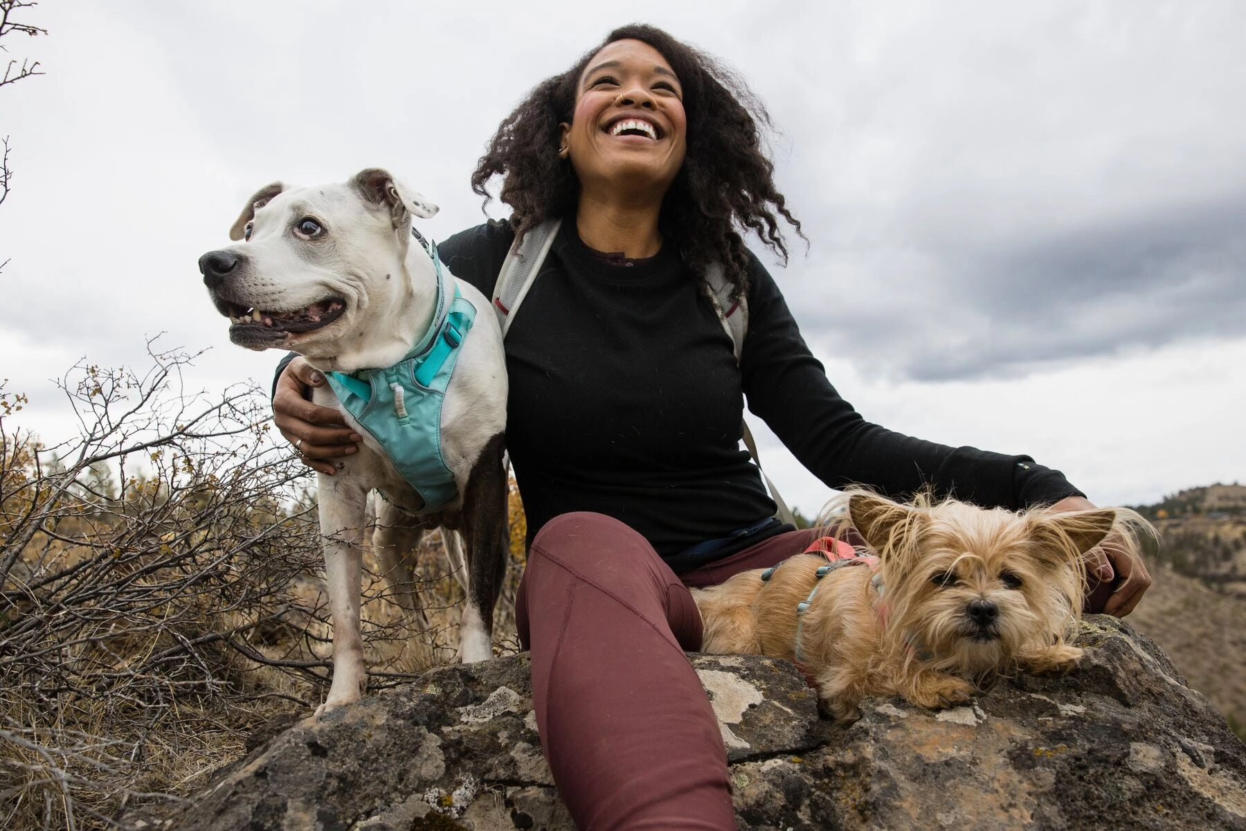 Ruffwear Dog Harness With Handle: Flagline
