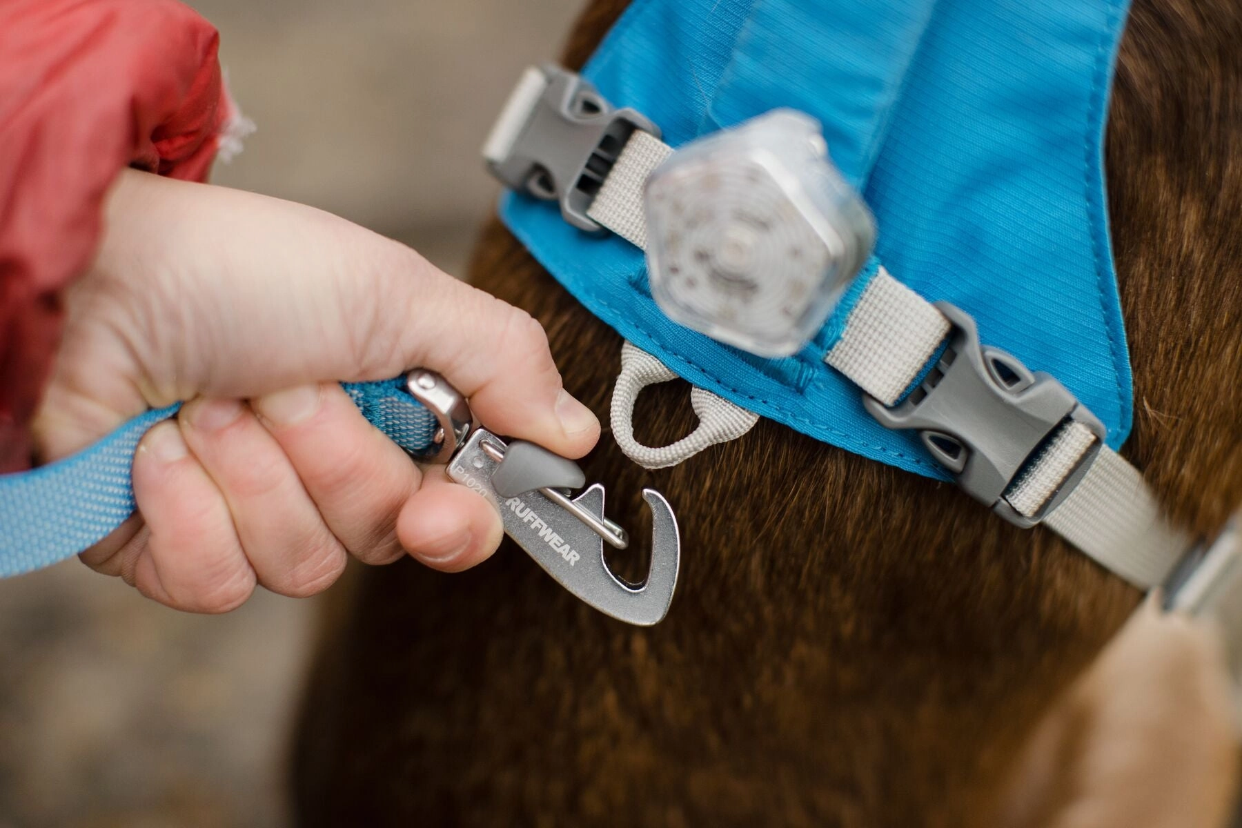 Ruffwear Dog Harness With Handle: Flagline
