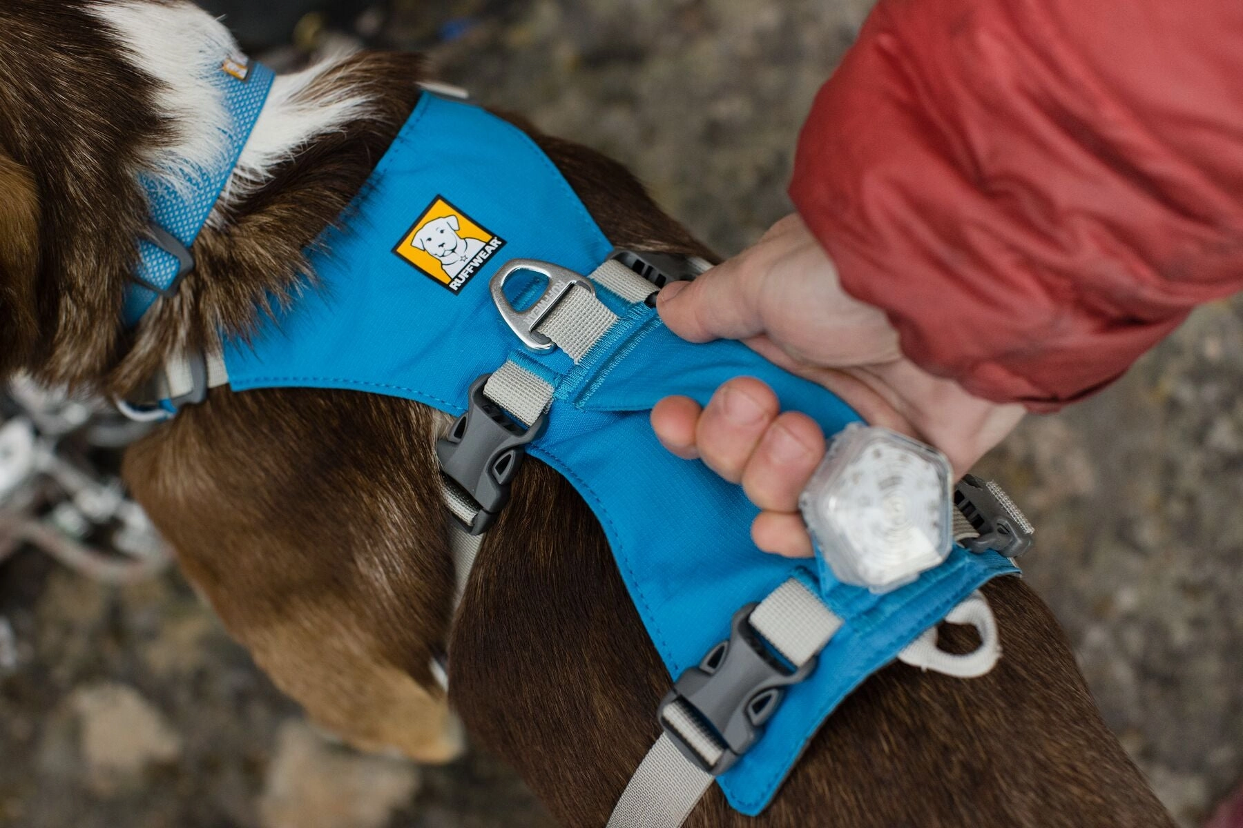 Ruffwear Dog Harness With Handle: Flagline