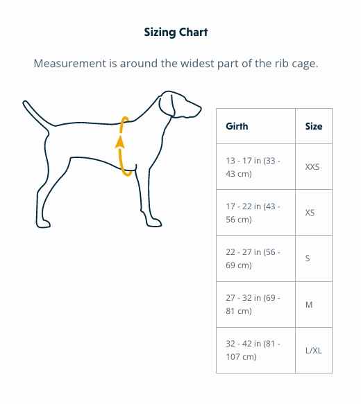 Ruffwear Dog Harness With Handle: Flagline