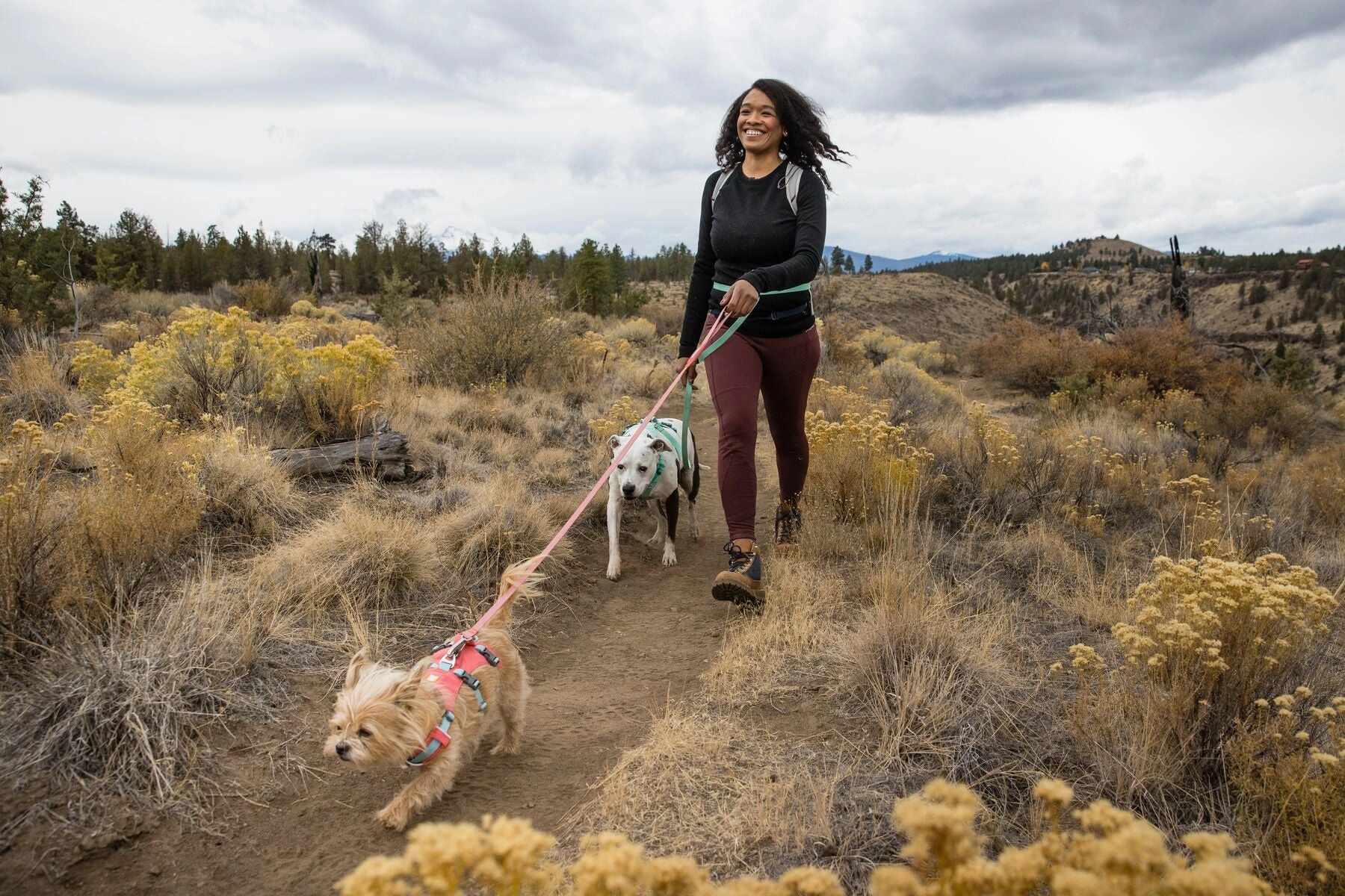 Ruffwear Dog Harness With Handle: Flagline