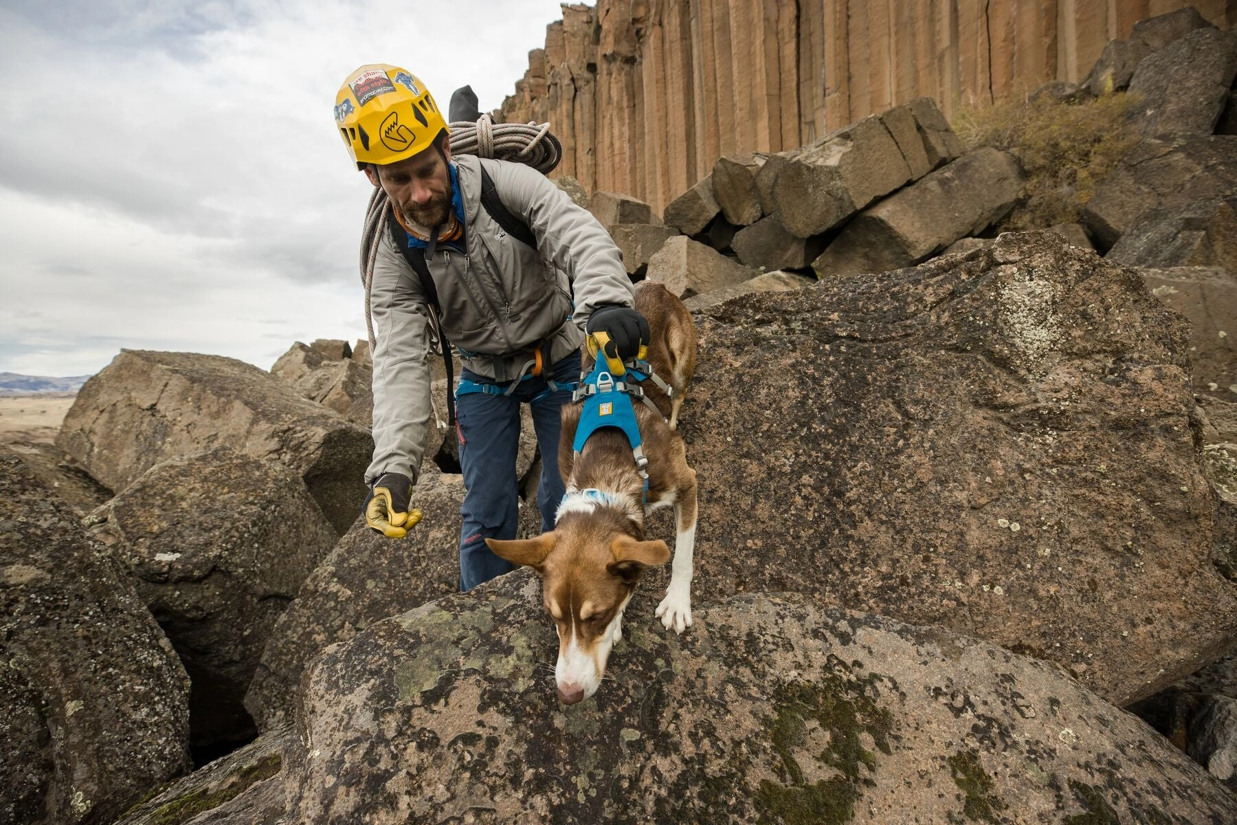 Ruffwear Dog Harness With Handle: Flagline