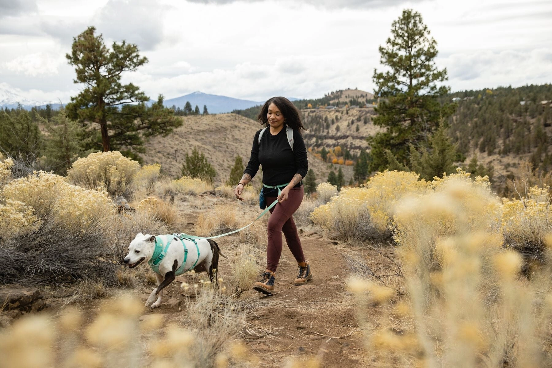 Ruffwear Dog Harness With Handle: Flagline