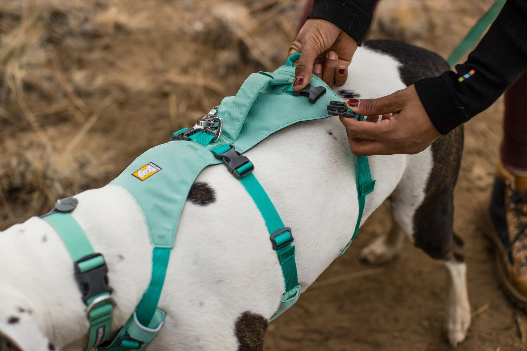 Ruffwear Dog Harness With Handle: Flagline