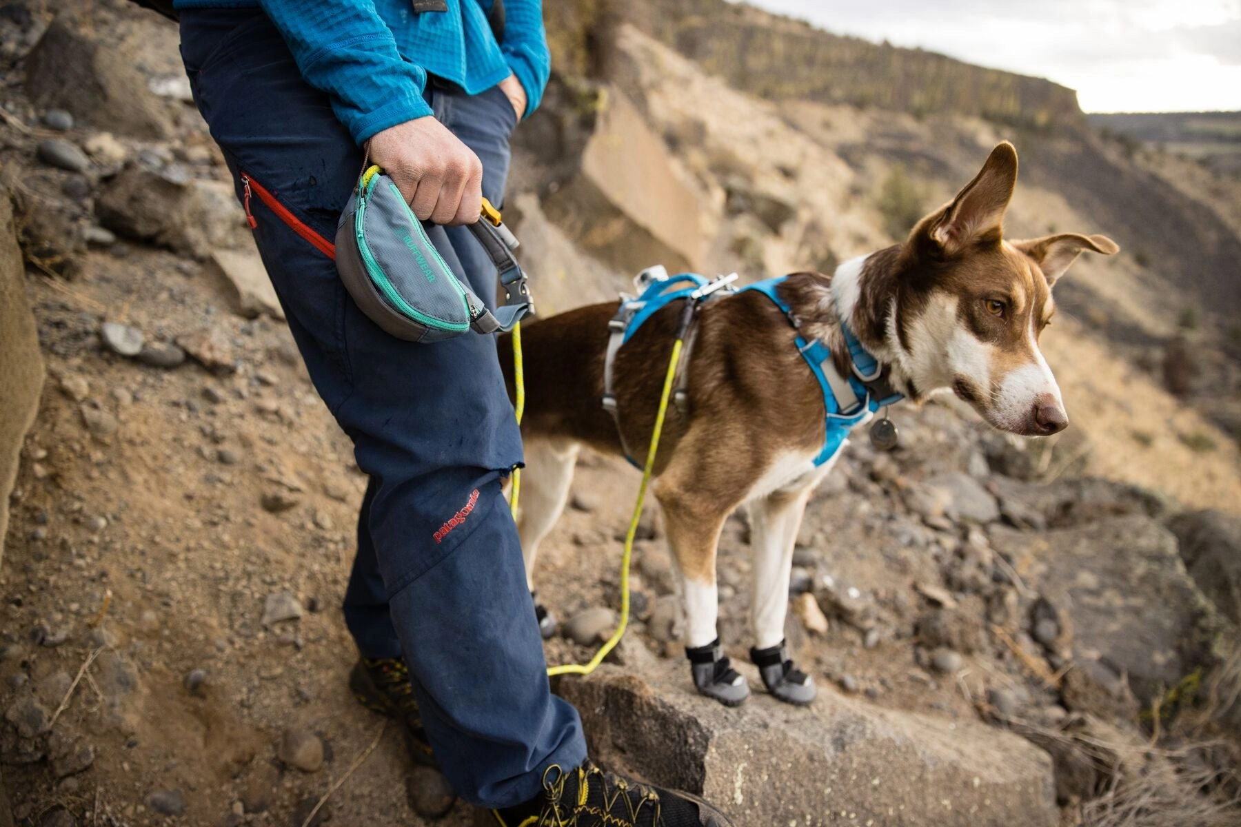 Ruffwear Dog Harness With Handle: Flagline