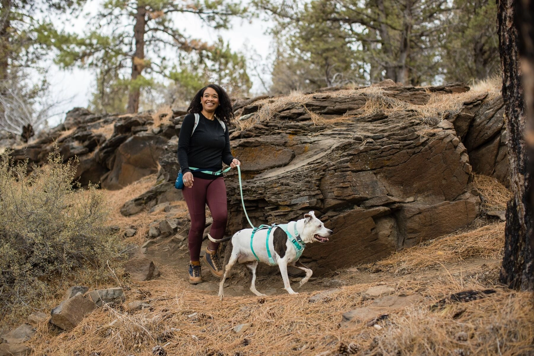 Ruffwear Dog Harness With Handle: Flagline