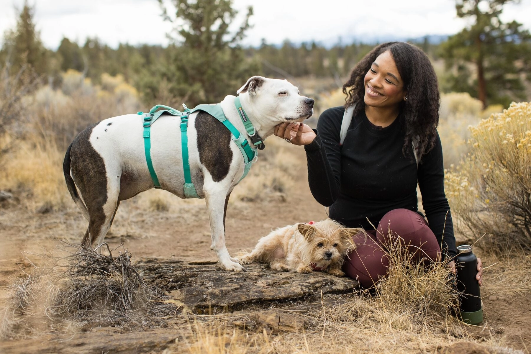 Ruffwear Dog Harness With Handle: Flagline