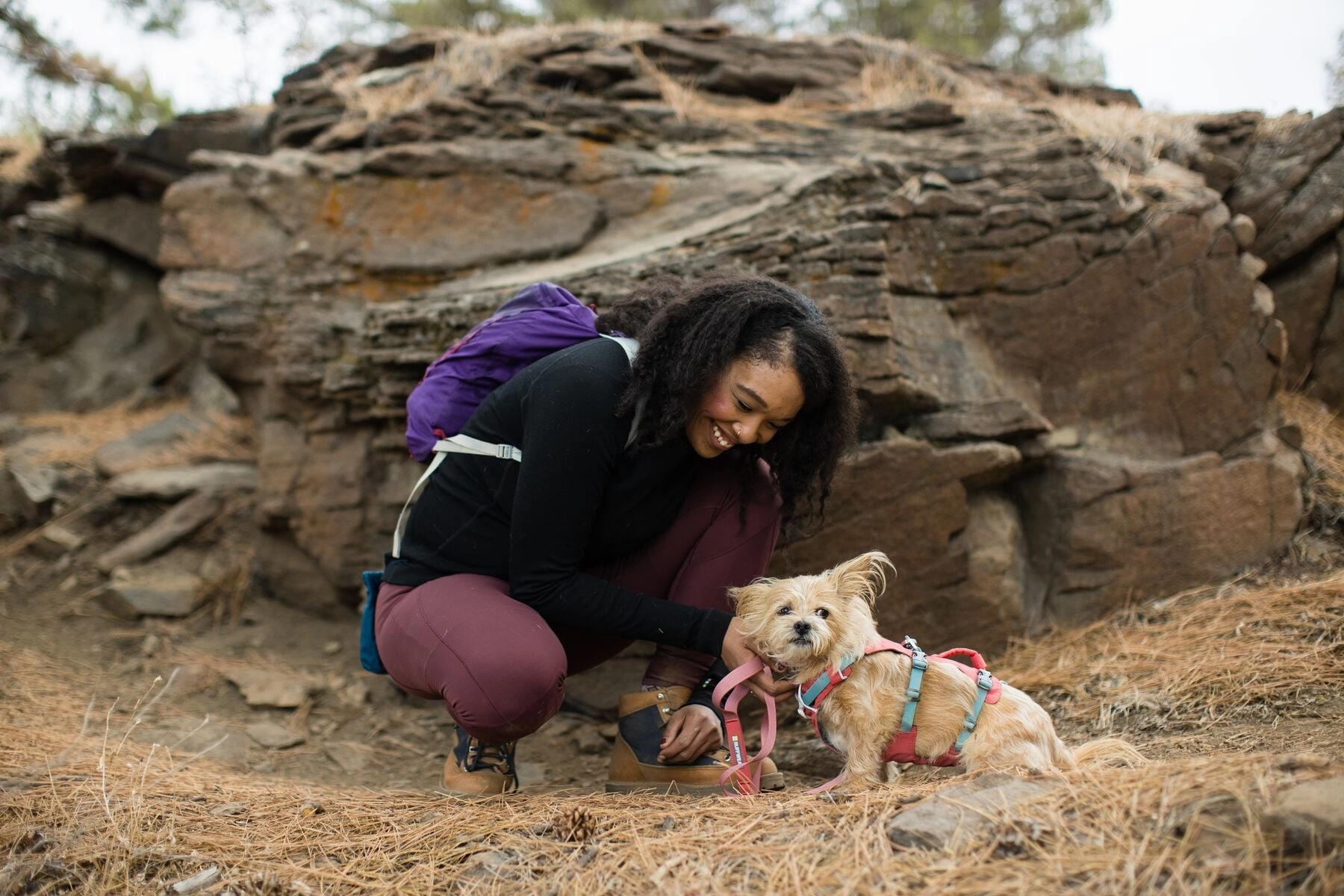 Ruffwear Dog Harness With Handle: Flagline