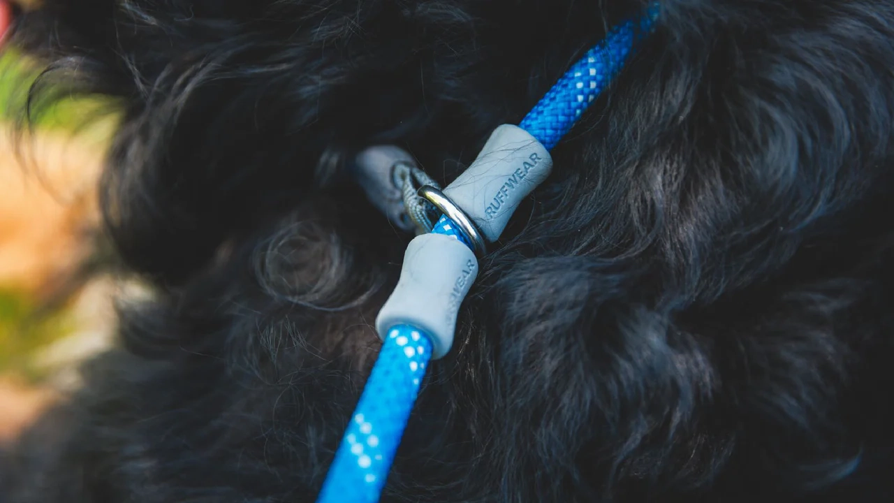 Ruffwear Dog Leash: Just-a-Cinch 2024