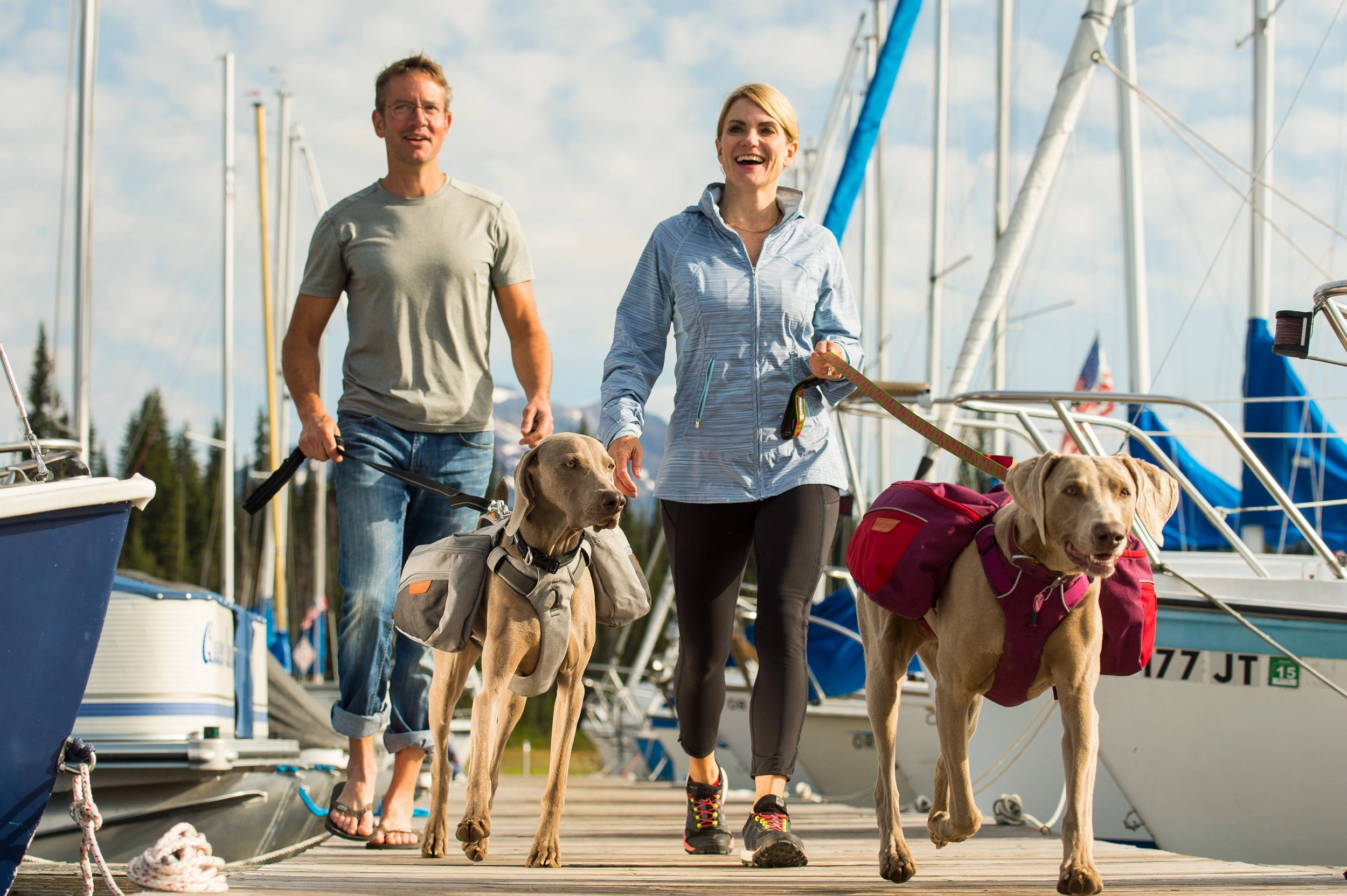 Ruffwear Dog Pack: Commuter Pack in Lackspur Purple