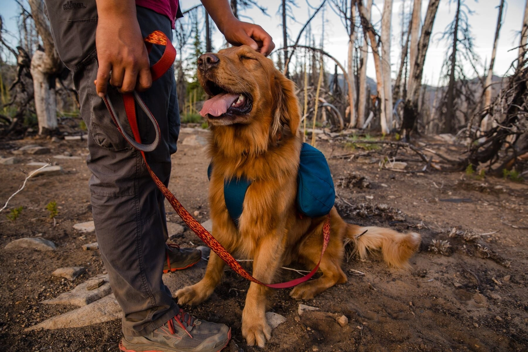 Ruffwear: Flat Out Adjustable Dog Leash